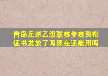 青岛足球乙级联赛参赛资格证书发放了吗现在还能用吗