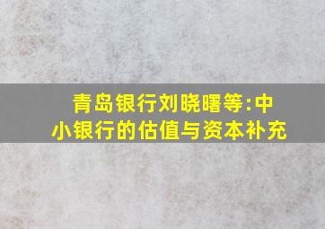 青岛银行刘晓曙等:中小银行的估值与资本补充