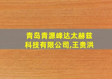 青岛青源峰达太赫兹科技有限公司,王贵洪