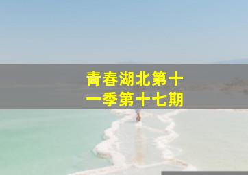 青春湖北第十一季第十七期