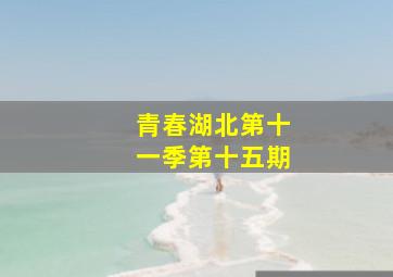 青春湖北第十一季第十五期