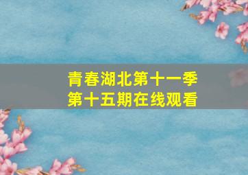 青春湖北第十一季第十五期在线观看