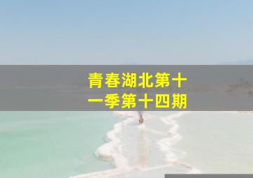 青春湖北第十一季第十四期