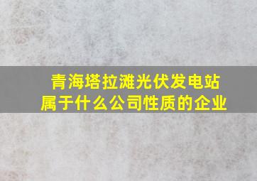 青海塔拉滩光伏发电站属于什么公司性质的企业