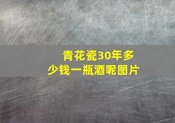 青花瓷30年多少钱一瓶酒呢图片