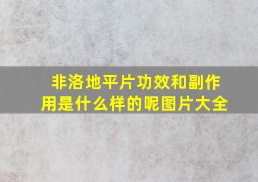 非洛地平片功效和副作用是什么样的呢图片大全