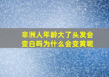 非洲人年龄大了头发会变白吗为什么会变黄呢