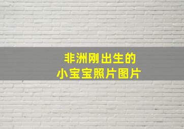 非洲刚出生的小宝宝照片图片