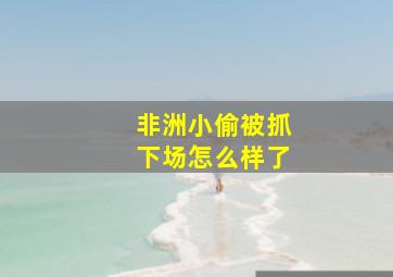 非洲小偷被抓下场怎么样了