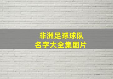 非洲足球球队名字大全集图片