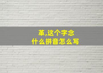 革,这个字念什么拼音怎么写