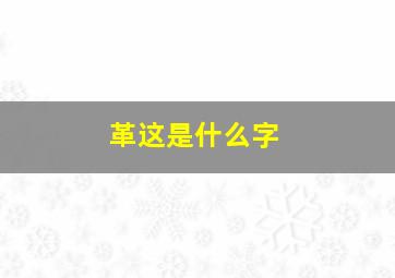 革这是什么字