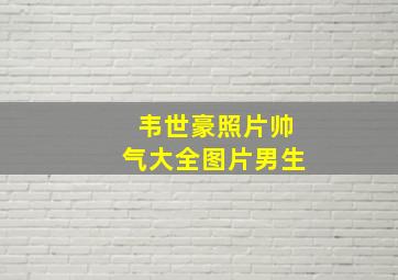 韦世豪照片帅气大全图片男生