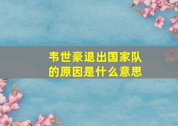 韦世豪退出国家队的原因是什么意思