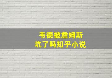 韦德被詹姆斯坑了吗知乎小说