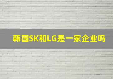 韩国SK和LG是一家企业吗