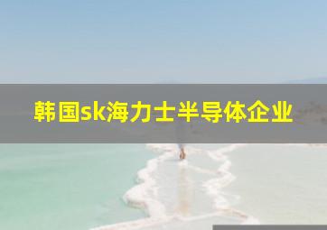 韩国sk海力士半导体企业