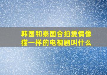 韩国和泰国合拍爱情像猫一样的电视剧叫什么