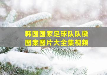 韩国国家足球队队徽图案图片大全集视频