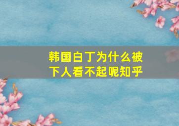 韩国白丁为什么被下人看不起呢知乎