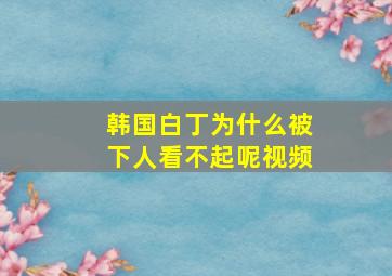 韩国白丁为什么被下人看不起呢视频