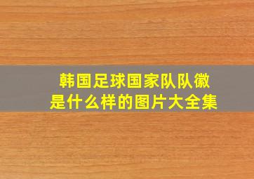 韩国足球国家队队徽是什么样的图片大全集