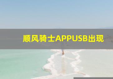 顺风骑士APPUSB出现