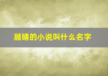 顾晴的小说叫什么名字