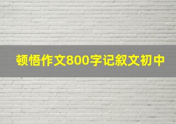 顿悟作文800字记叙文初中