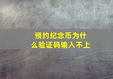 预约纪念币为什么验证码输入不上