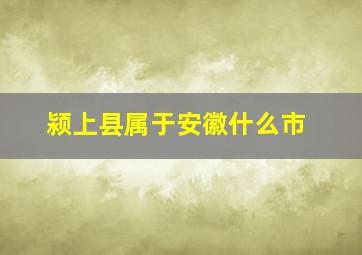 颍上县属于安徽什么市