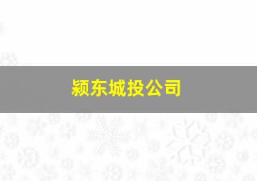 颍东城投公司