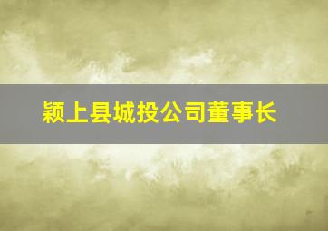 颖上县城投公司董事长