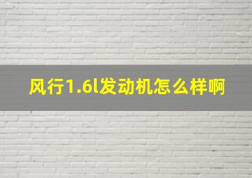 风行1.6l发动机怎么样啊