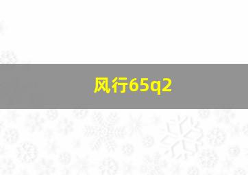 风行65q2