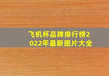 飞机杯品牌排行榜2022年最新图片大全