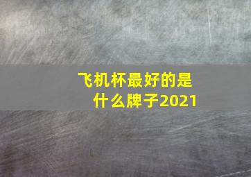 飞机杯最好的是什么牌子2021