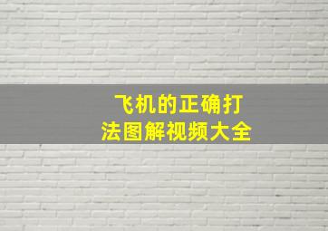 飞机的正确打法图解视频大全