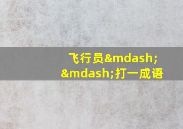 飞行员——打一成语