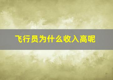 飞行员为什么收入高呢