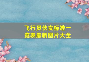 飞行员伙食标准一览表最新图片大全