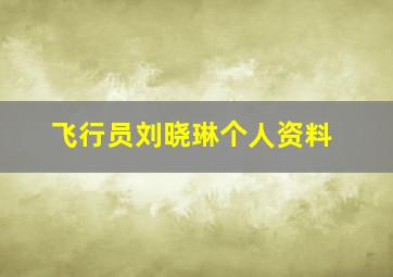 飞行员刘晓琳个人资料