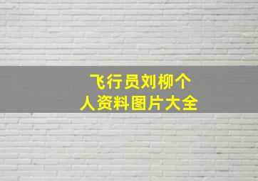 飞行员刘柳个人资料图片大全