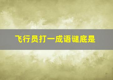 飞行员打一成语谜底是