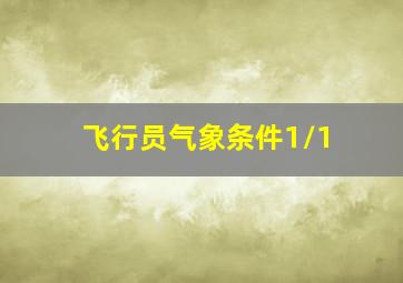 飞行员气象条件1/1