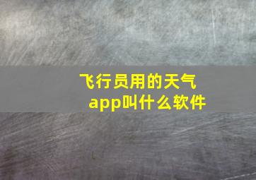 飞行员用的天气app叫什么软件