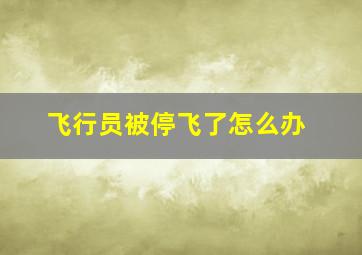 飞行员被停飞了怎么办