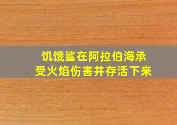 饥饿鲨在阿拉伯海承受火焰伤害并存活下来