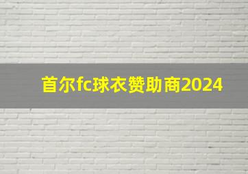 首尔fc球衣赞助商2024