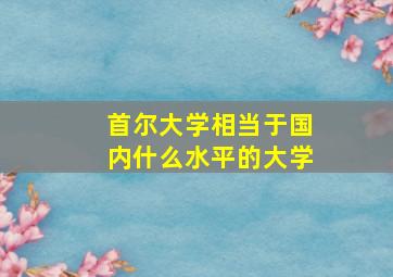 首尔大学相当于国内什么水平的大学